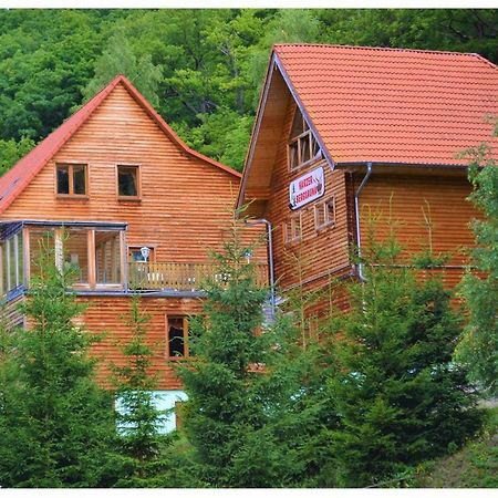 Waldhaus Altenbrak Kültér fotó