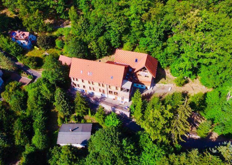 Waldhaus Altenbrak Kültér fotó